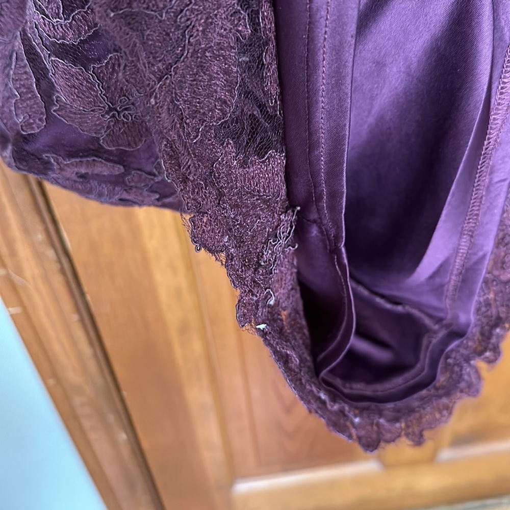 EUC Fully lined sleeveless dress lace outer - Picture 5 of 8